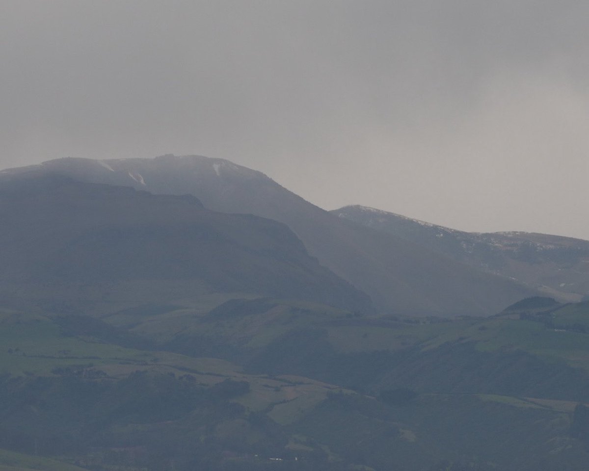 Kim Beish tweet media