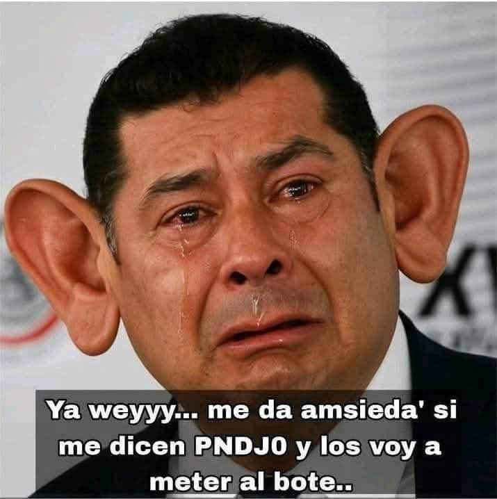 A. L. C. tweet media