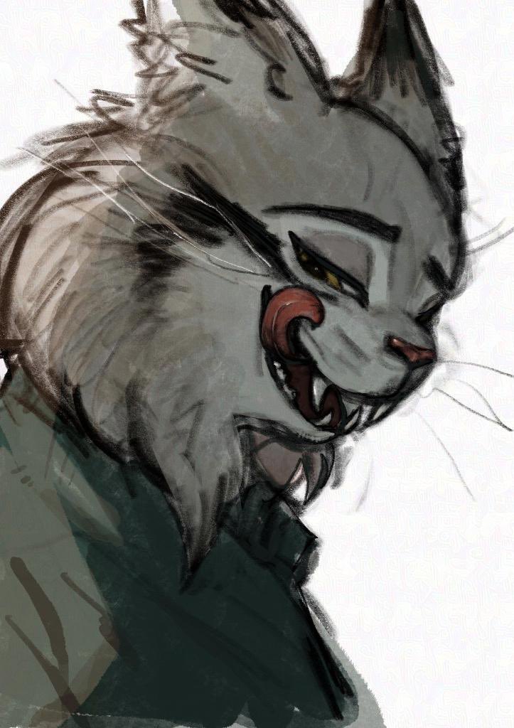 元気なサル tweet media