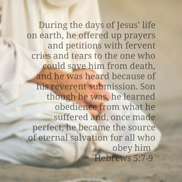 Michael65413248's tweet photo. 3Apr26 #GoodFriday #MassReadings
https://t.co/SiVMIkmjLh
Saints’Commentaries
#Hebrews4:14-16; #Hebrews5:7-9
https://t.co/j55ZUtVRyD
https://t.co/G0d2MO2CV4
#John18:1-19:42 #CatenaAurea
https://t.co/HyNBtZBOiG
https://t.co/LgqkRPvBsZ
Sending You Peace,Love & Joy from #Singapore! https://t.co/oVWs8caIQZ