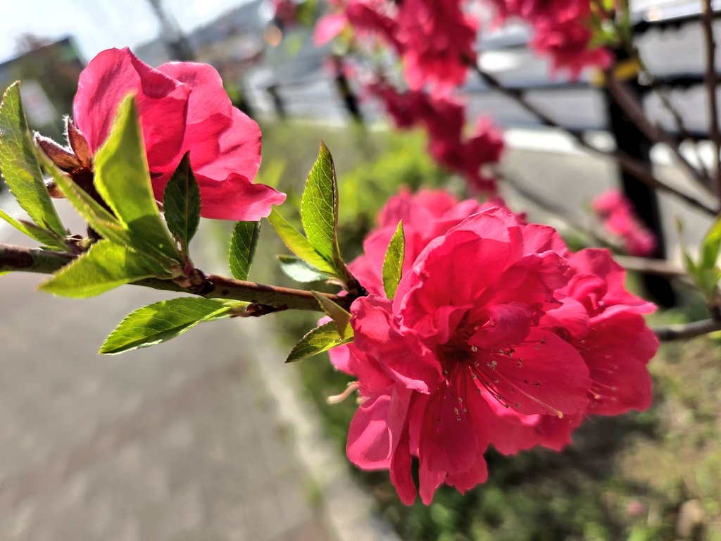 おはようございます
今日から御園座でルパン歌舞伎。
来名されるルパクラさん。楽しんで下さいね😊
御園座はトイレ列のスタッフさんの捌きが神だし、座席の上には更にクッションあり。
そして、前のめりにならない様に。と、開演前にスタッフさんが何度もアナウンスしてくれる素晴らしい演舞場です✨