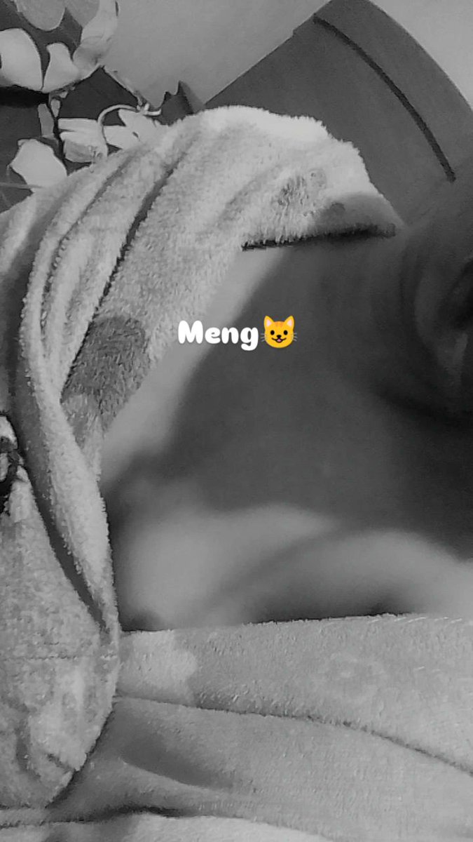 Meng😺 tweet media