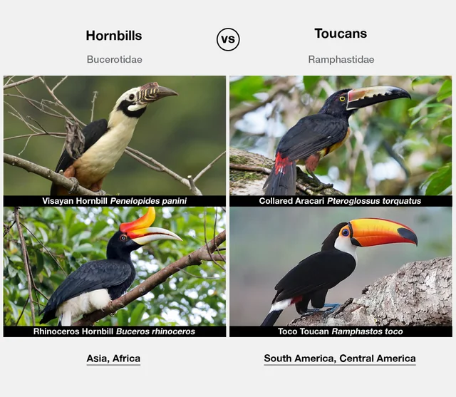 samuel fonseca tweet media