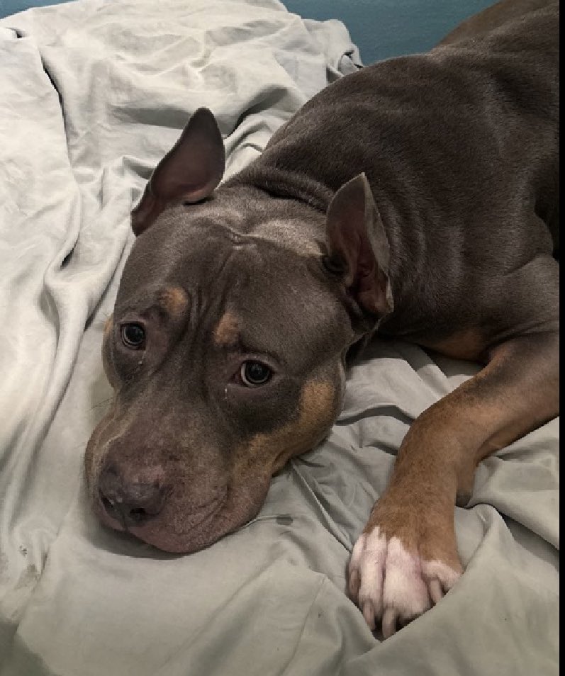 Quinn 💛(G.Quinn Rogers) tweet media