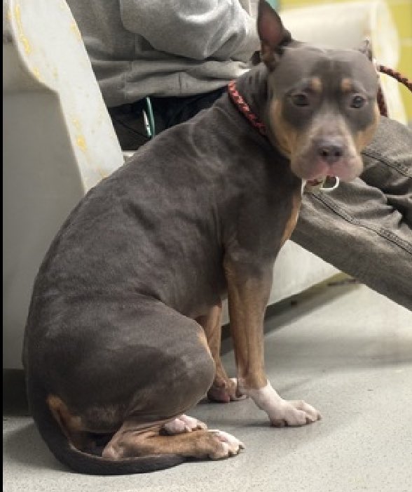 Quinn 💛(G.Quinn Rogers) tweet media