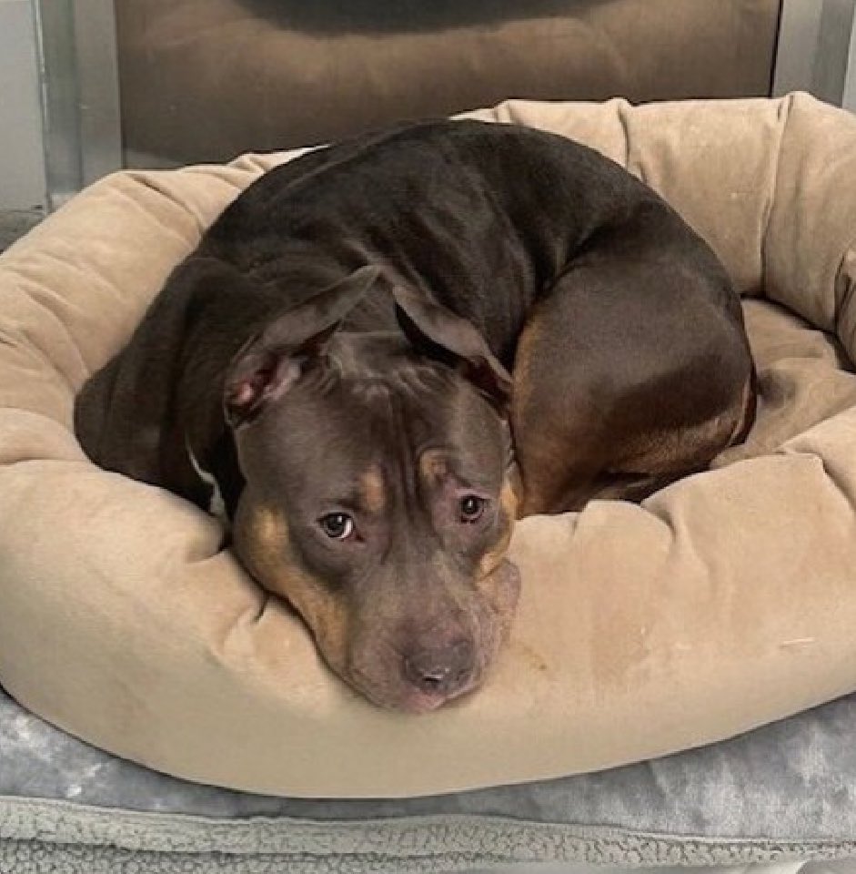 Quinn 💛(G.Quinn Rogers) tweet media