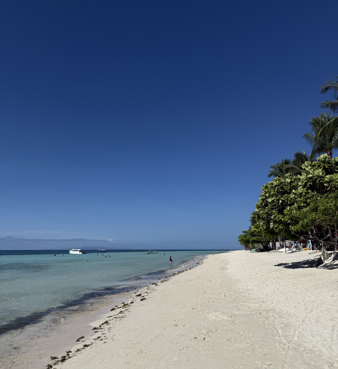 Pardz4U🥸♌️ tweet media