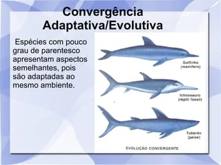 samuel fonseca tweet media