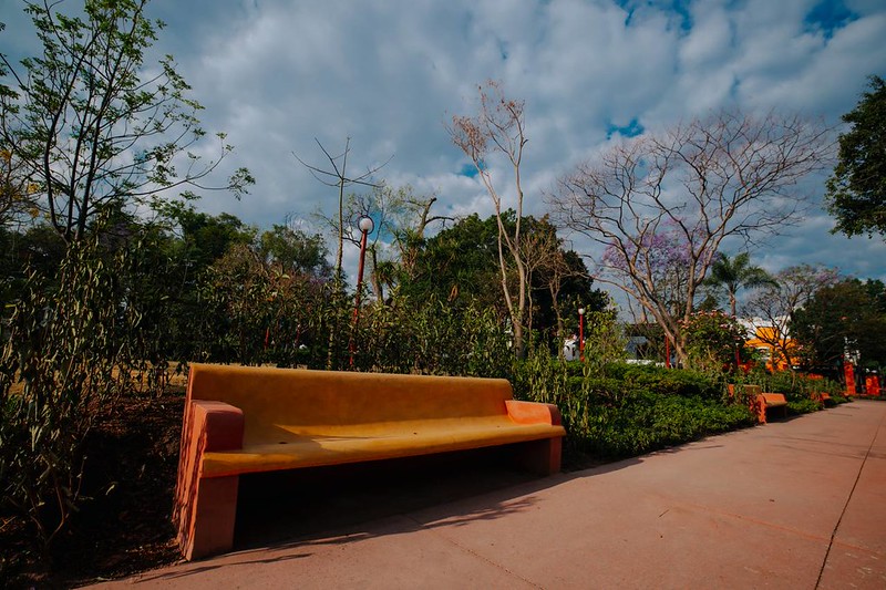 Ciudadanos que visitan el Parque Revolución lo ven más verde y ordenado

Medios como El Occidental y El Informador cosultaron a personas que visitaron el parque, los tapatíos coinciden que se ve mejor, se disfruta en familia y prefieren que sea para la gente y no para el comercio