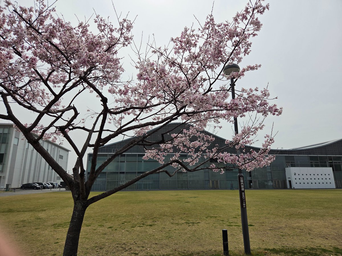 kazu in 山口 tweet media