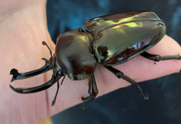 🔌🐰📦👻Khorne Flakes 🥥🧁 tweet media