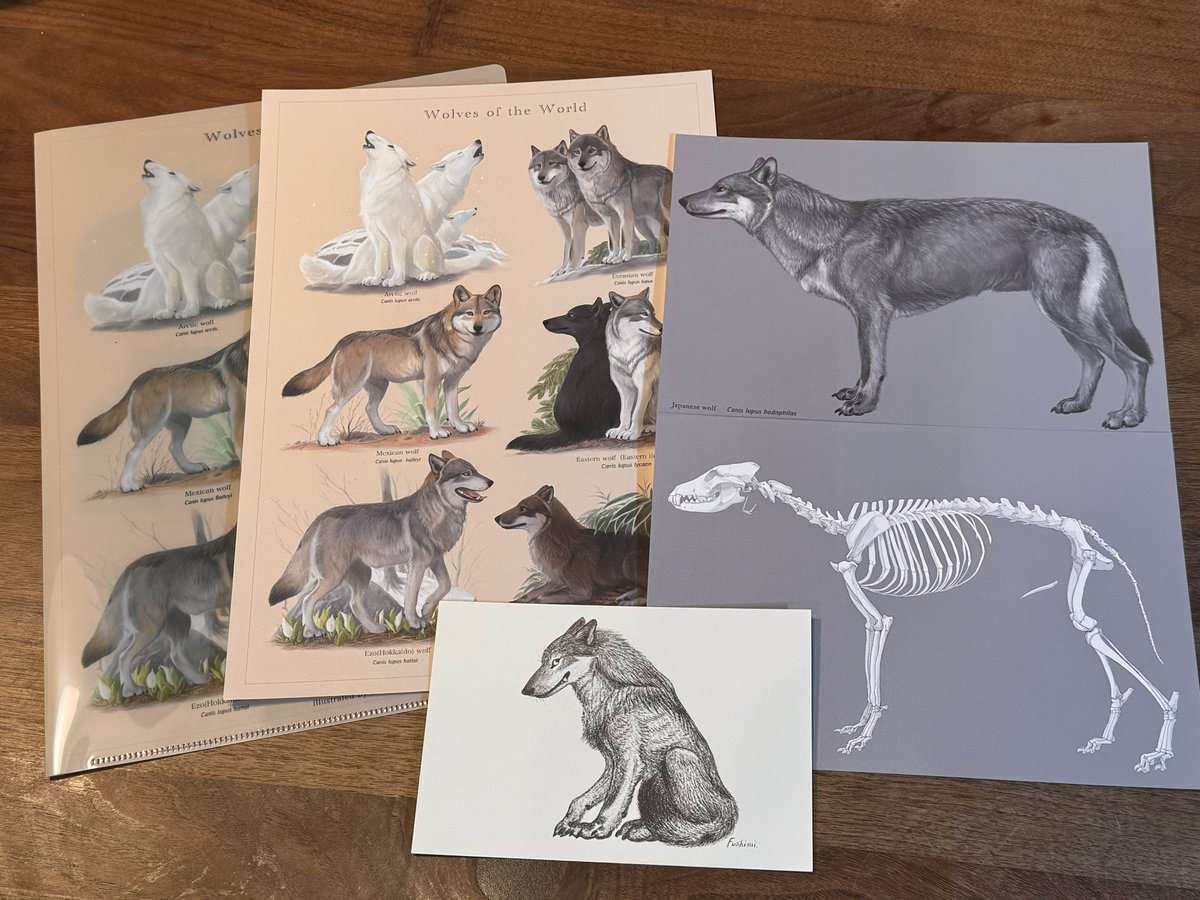 伏見 ゆき𓃥4/19~5/2理科美術展@新宿 tweet media