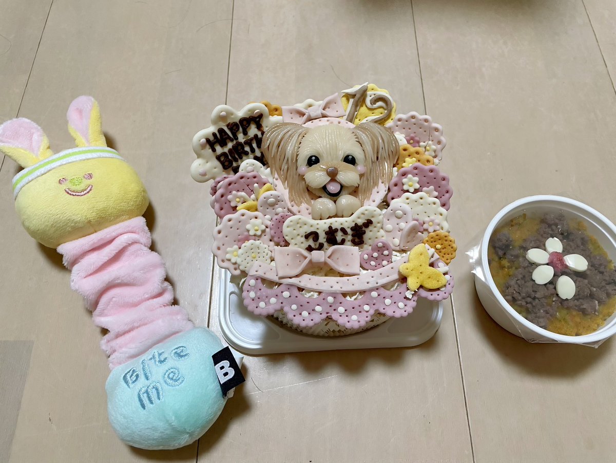 🧸💓 tweet media