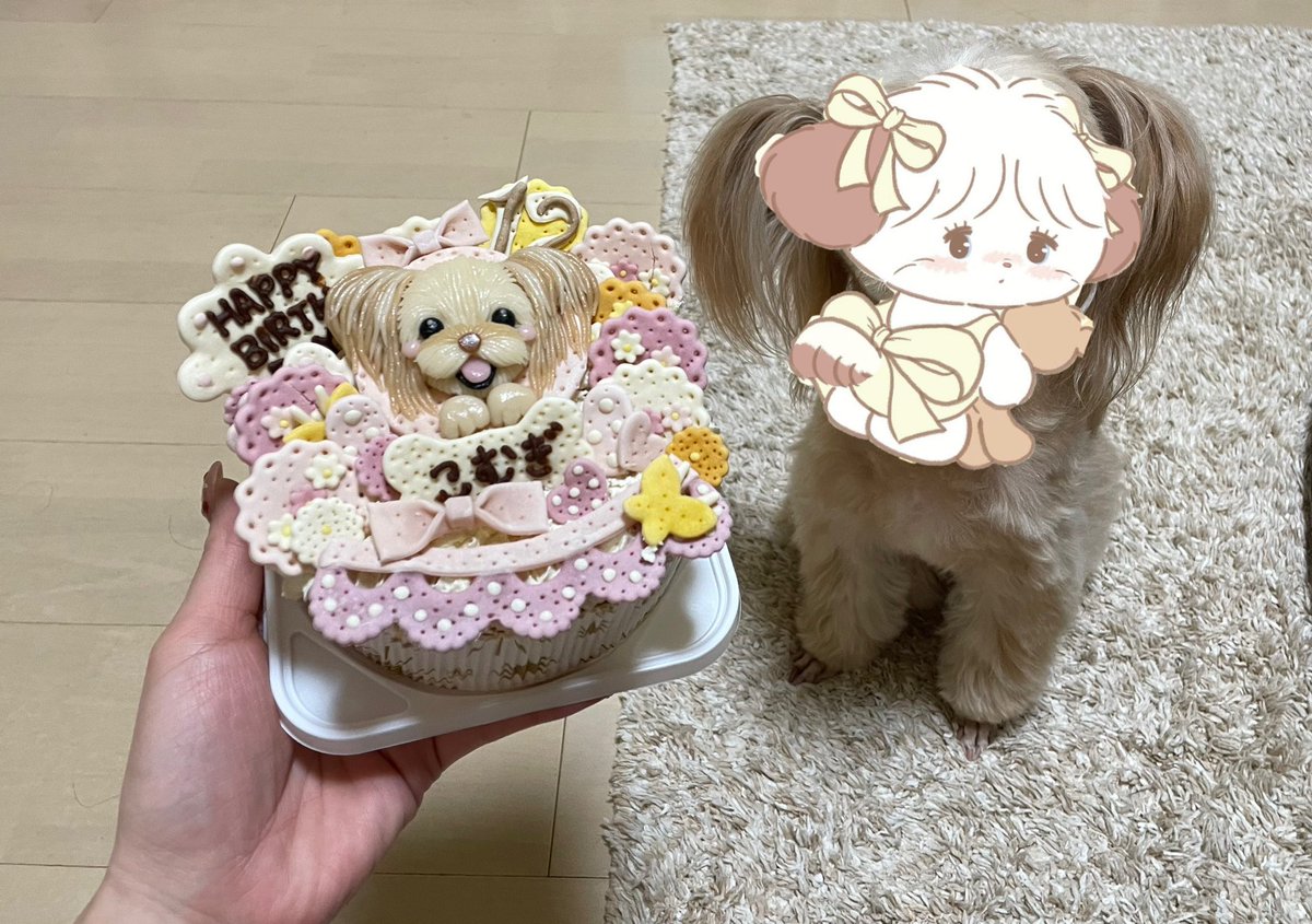 🧸💓 tweet media