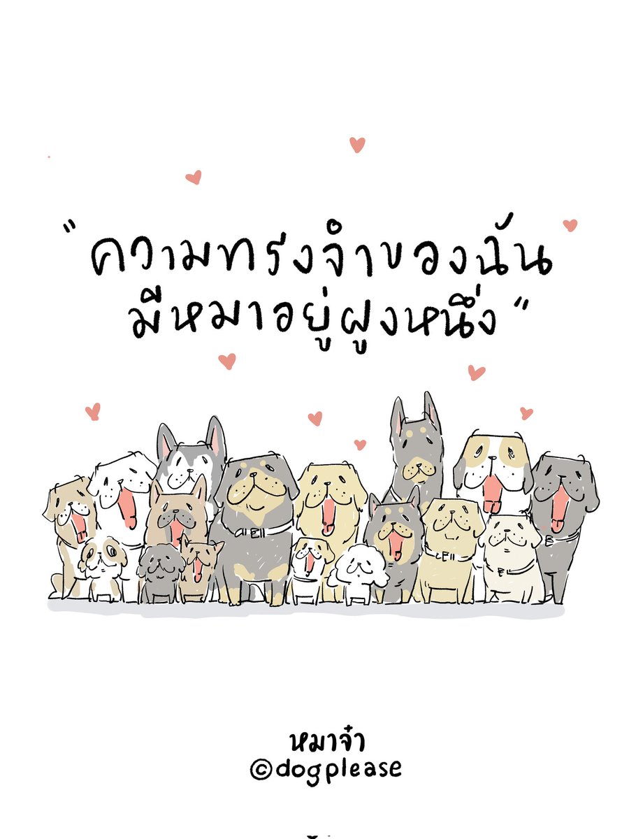 หมาจ๋า tweet media