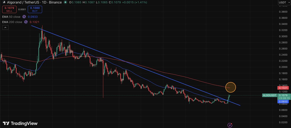 Blacksea tweet media