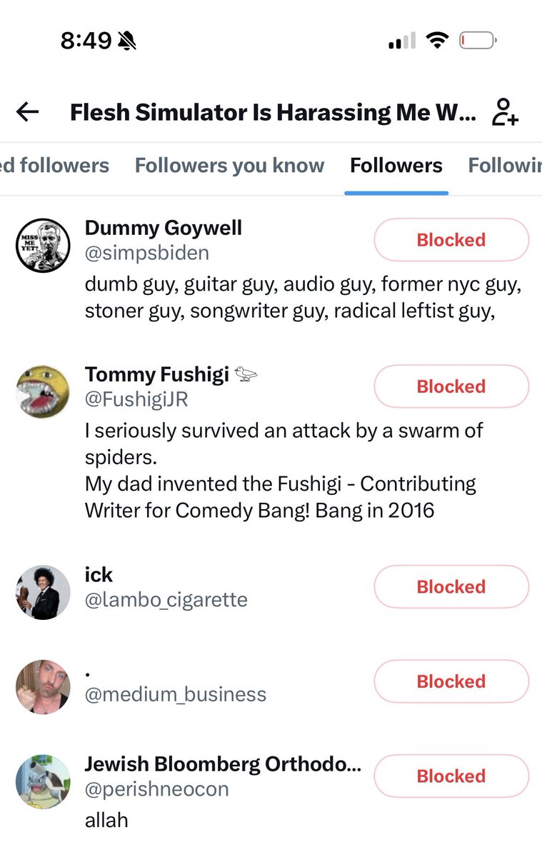Simulator di tutti i Simulatori tweet media