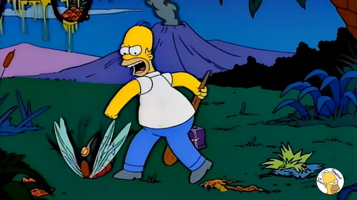 Carey 🍓 tweet media