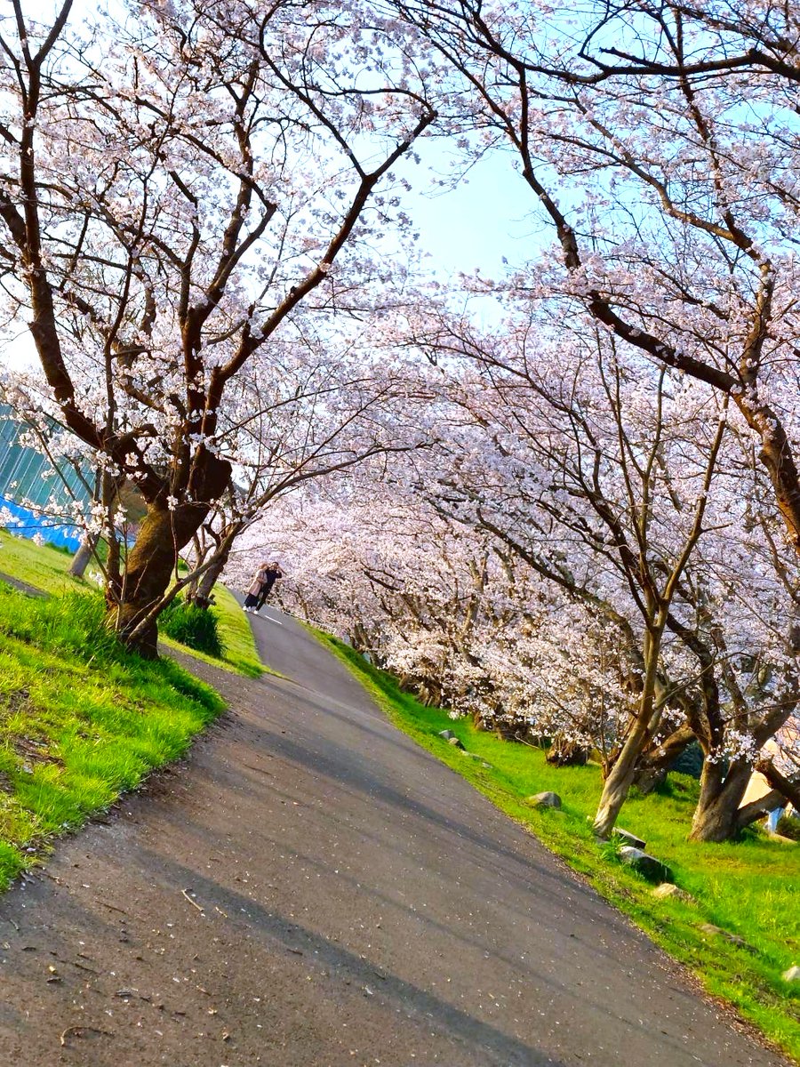 酒宝庫MASHIMO tweet media