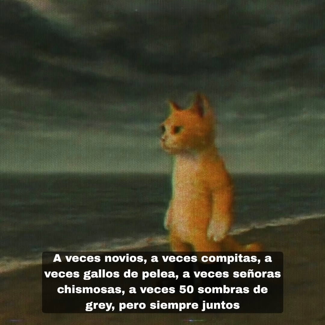 MundoDeBigotes's tweet photo. https://t.co/lpnOI8ZKoT
