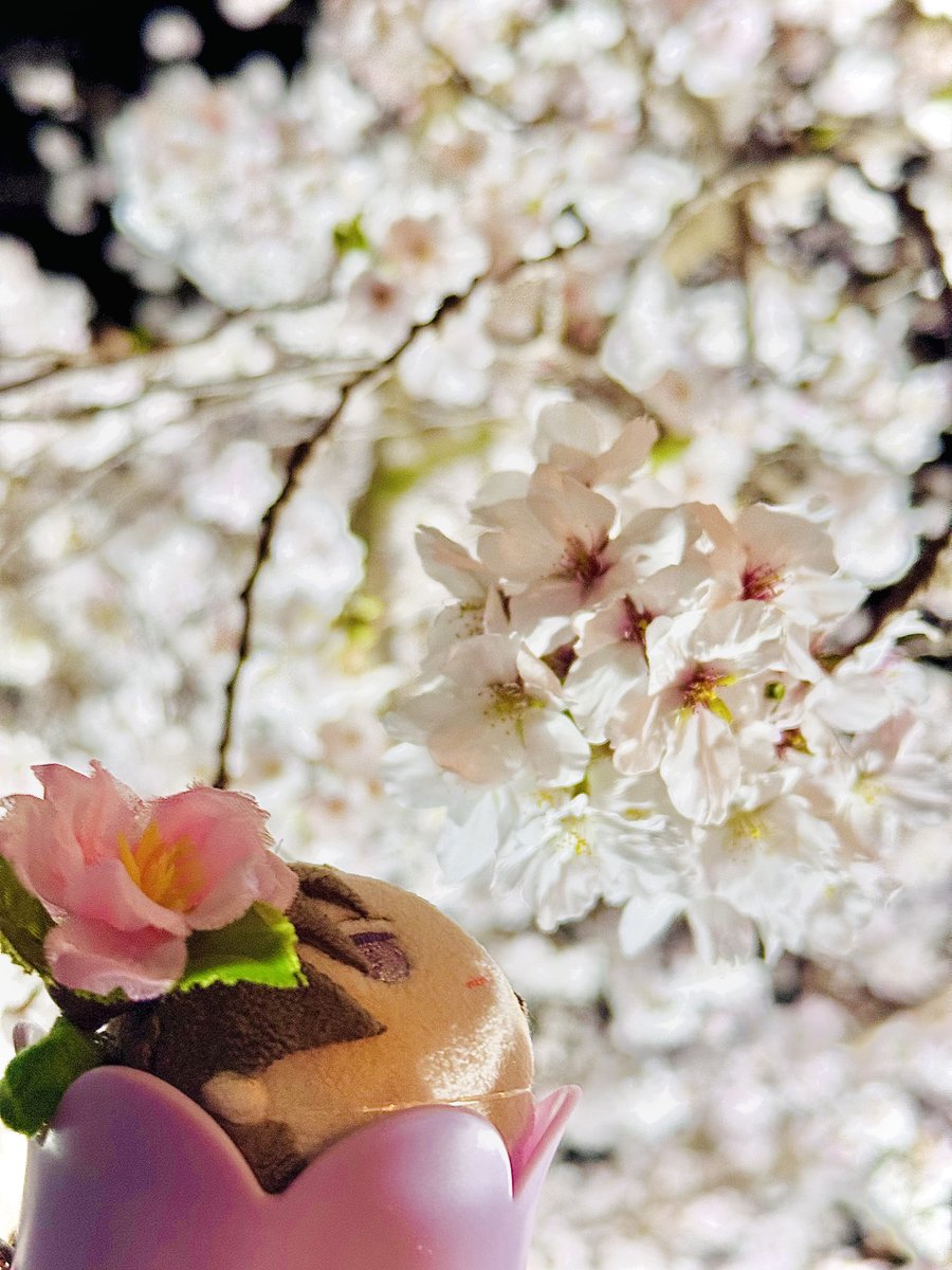 #とうらぶちいさいもの達の春便り2026
 #金曜日だからおもち貼る