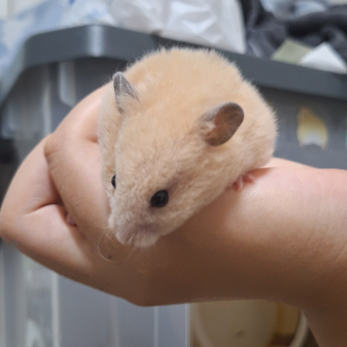 𝟒𝟎𝟒 𝐍𝐎𝐓 𝐅𝐎𝐔𝐍𝐃 tweet media