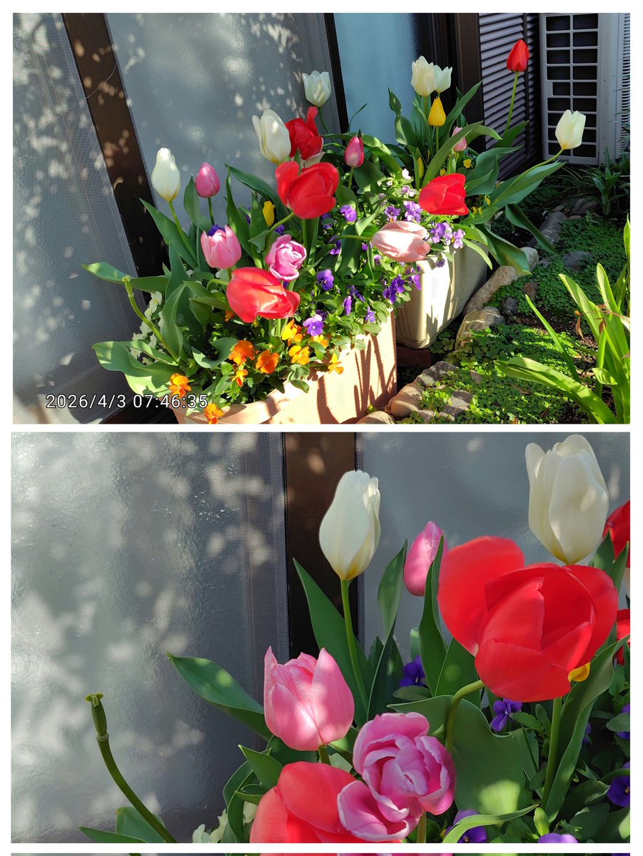 ユーチャ😊🎶Thank You🌾様💞 tweet media