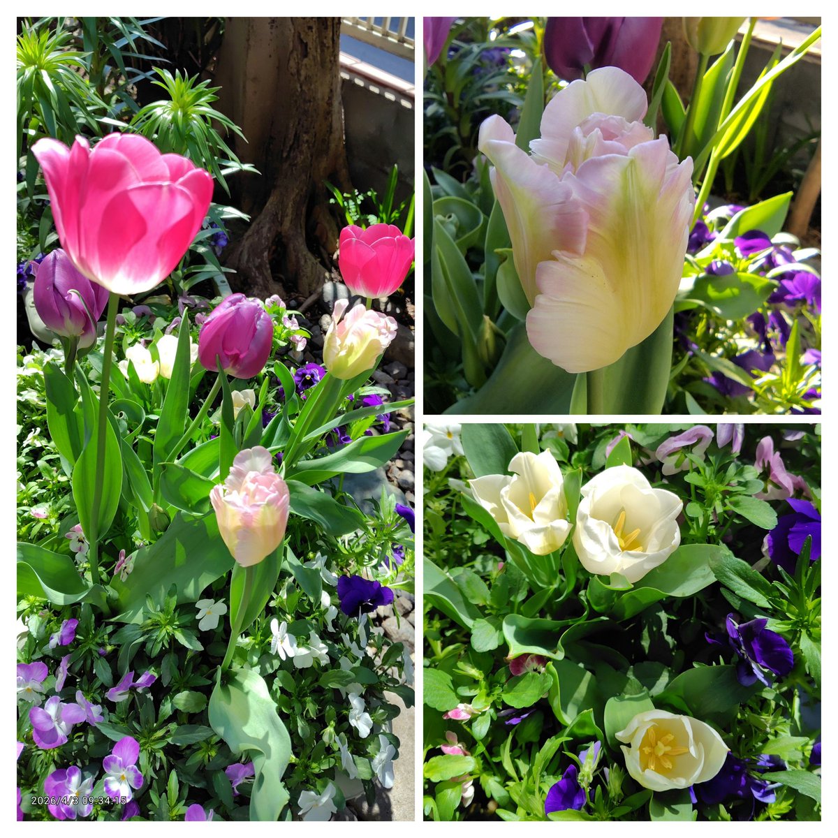 ユーチャ😊🎶Thank You🌾様💞 tweet media