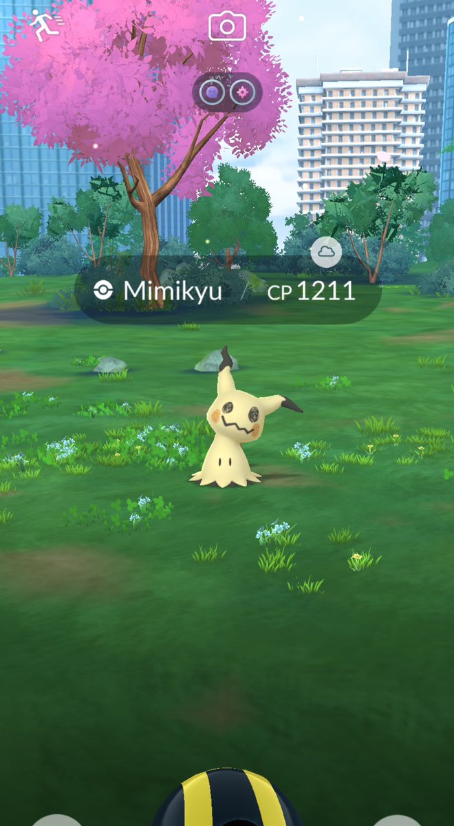 riku💎 tweet media