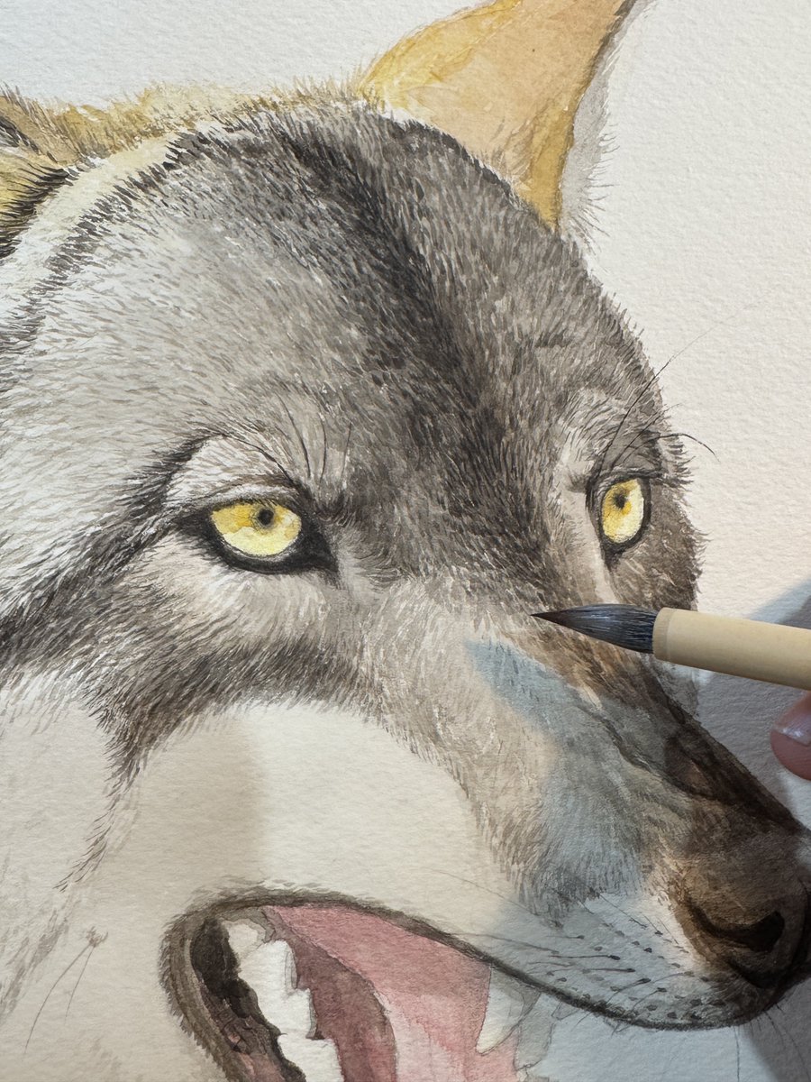 伏見 ゆき𓃥4/5アニマーレ出店c-52 tweet media