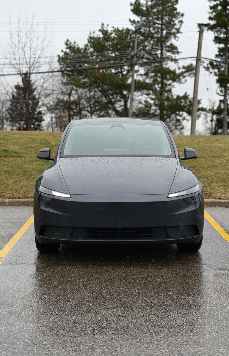 Nic Cruz Patane tweet media