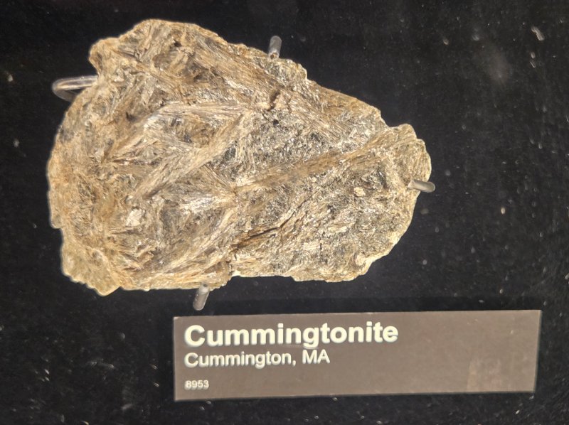 ØⱠĐ₥₳₦₥Ɇ₮₳Ⱡ67 🏳️‍🌈🏳️‍⚧️ tweet media