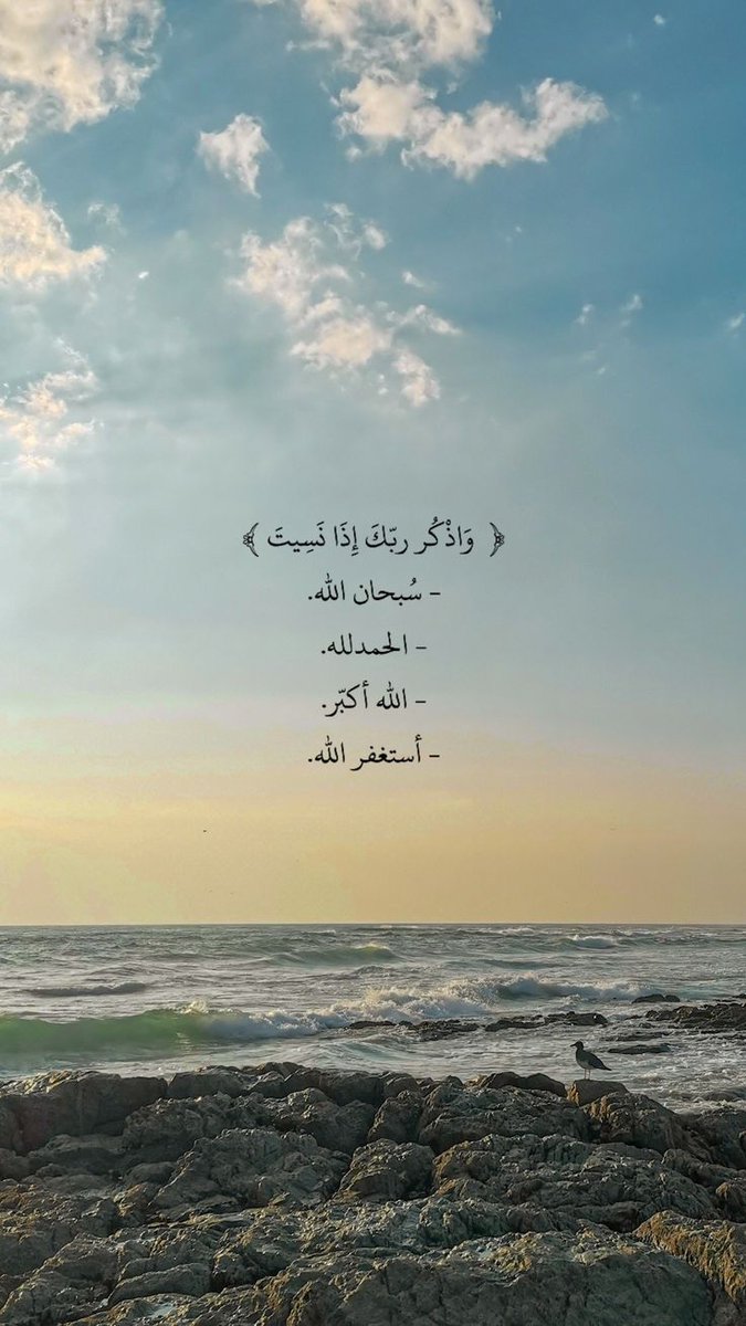 ᴸᵛᴸ¹⋆𝑴𝒂𝒚𝒂𝒓٭ tweet media