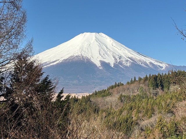 エフエムふじごこ tweet media