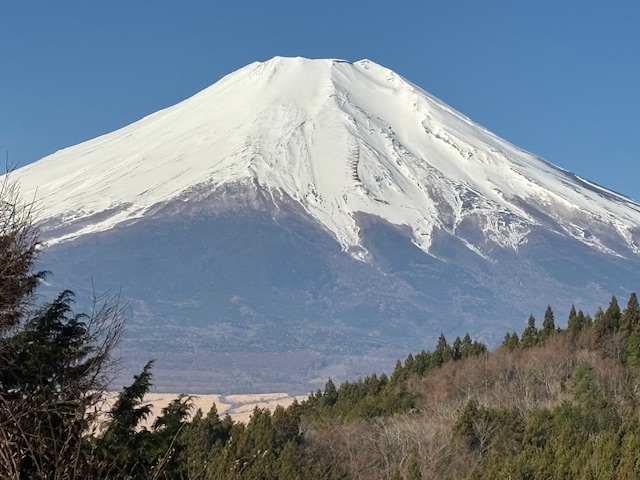 エフエムふじごこ tweet media