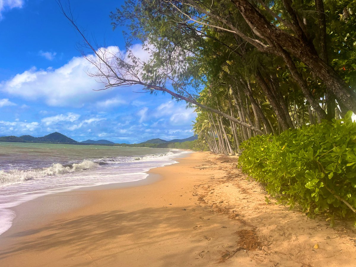 🅽 🅸 🅲 🅺 🆈 🍝 tweet media