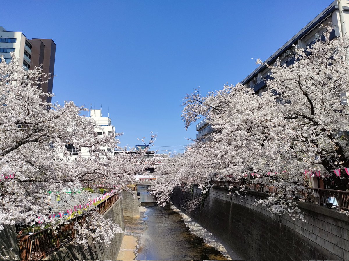 いまにし / baigie inc. tweet media