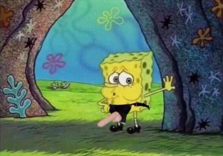 solecito tweet media