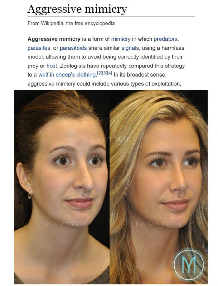 John Smith tweet media