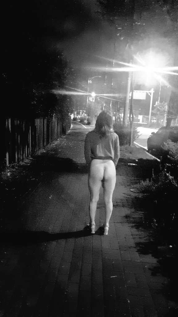 provide88 tweet media