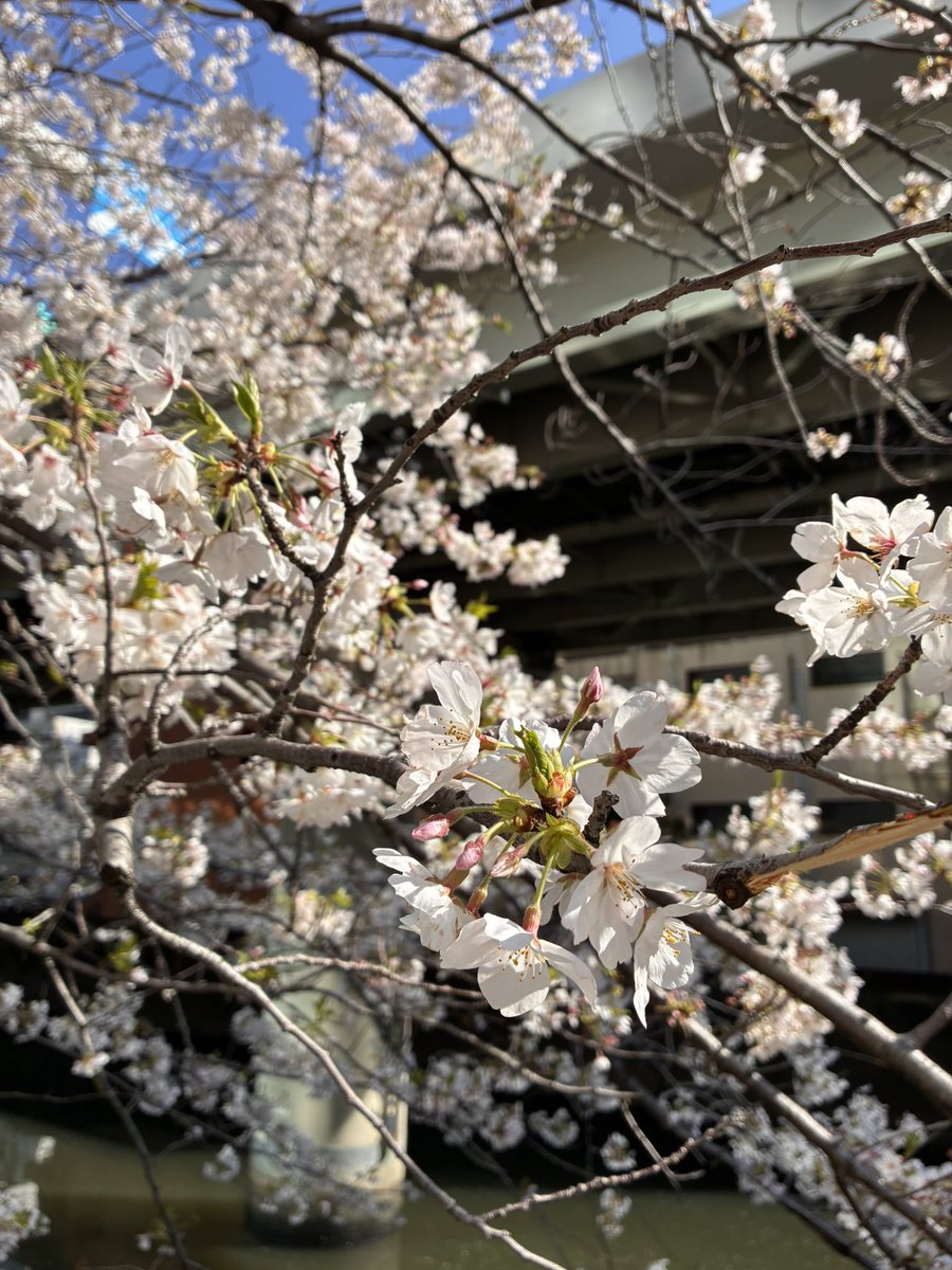 マックシステム株式会社 tweet media