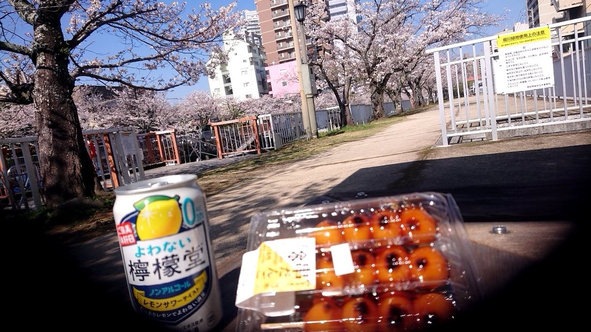 aptom_70111's tweet photo. 休日に一人お花見 https://t.co/fUTgHCNUhF