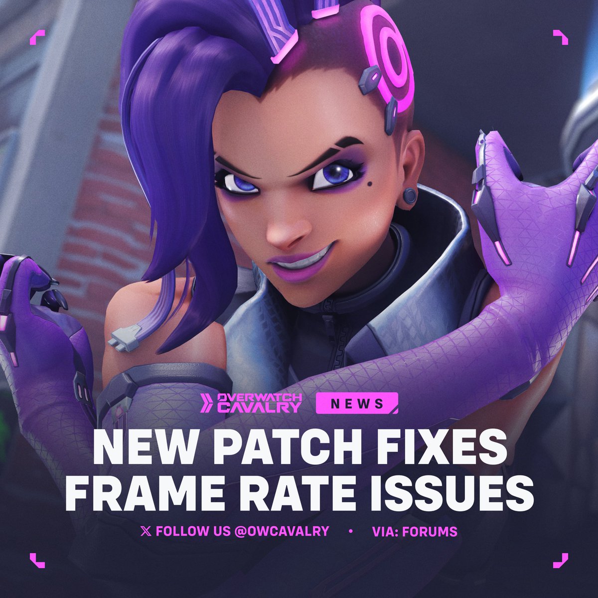 Overwatch Cavalry tweet media