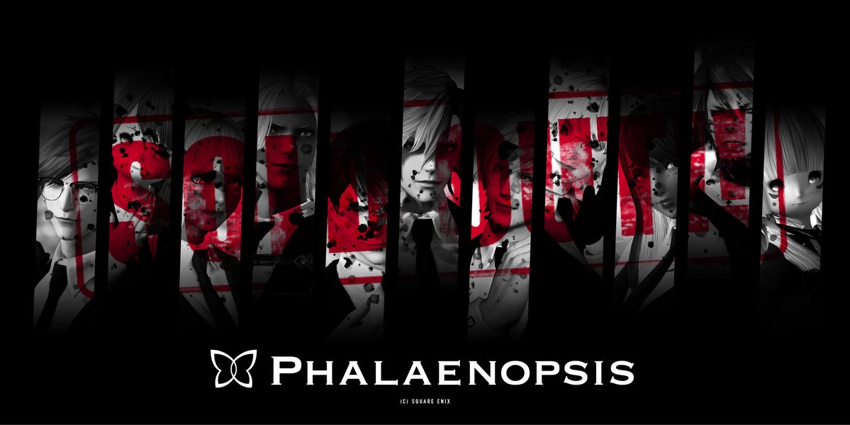 Phalaenopsis tweet media