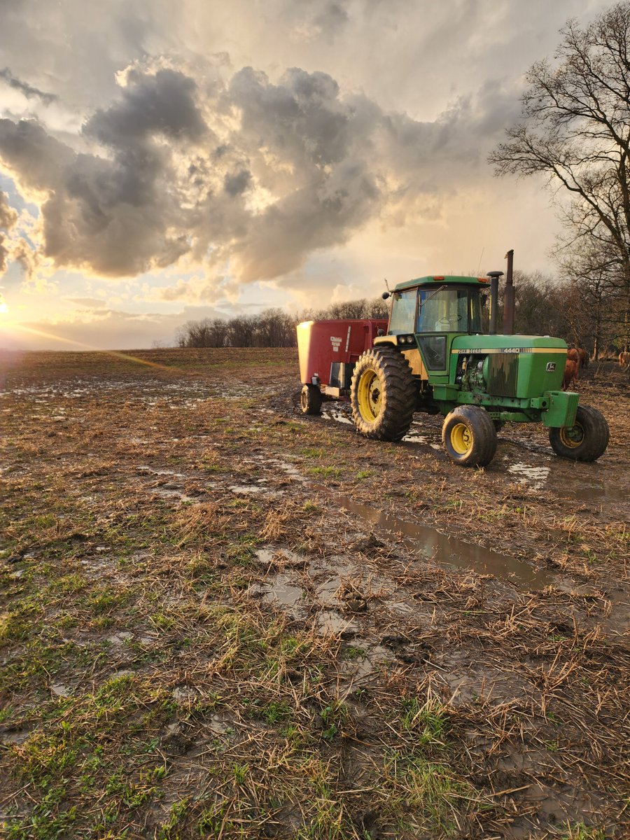 Derek Menold tweet media