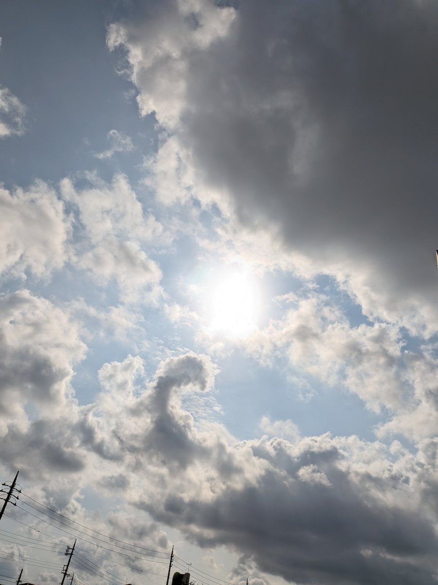 ❉夢ぴょん❉ tweet media