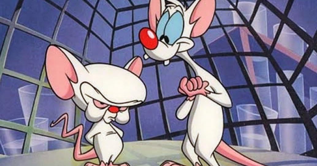 Hialley Gouveia tweet media