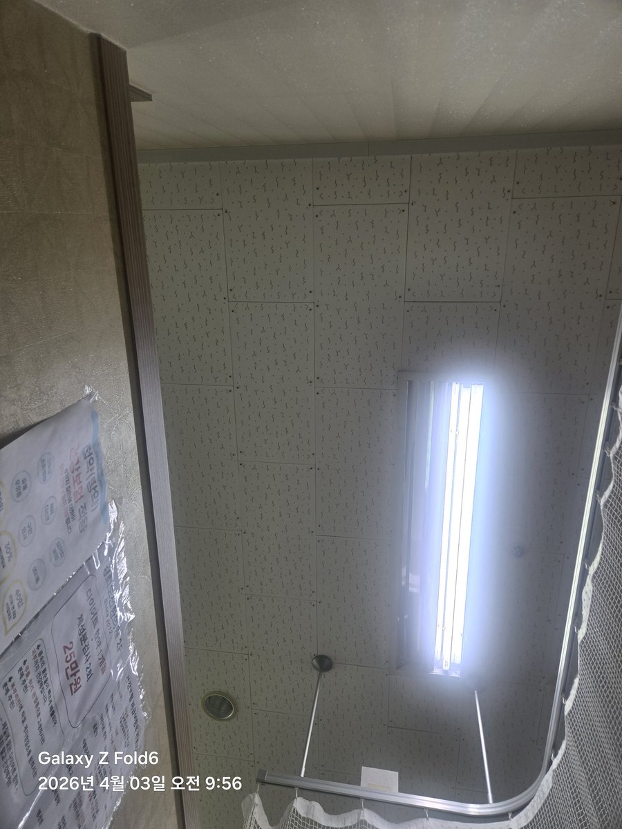 너구리한마리 tweet media