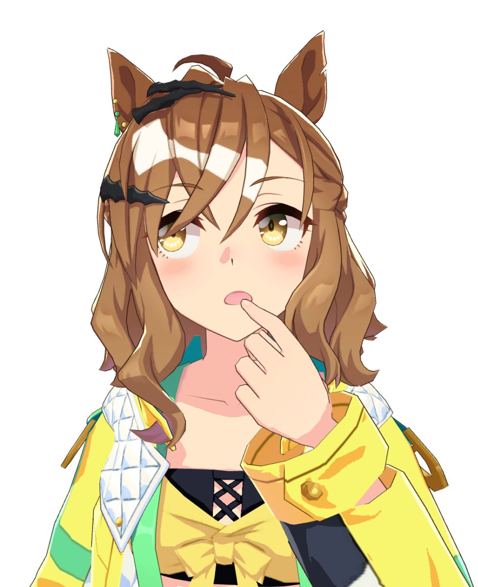 Jungle Pocket!! tweet media