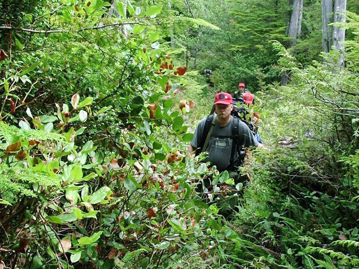 The Province tweet media